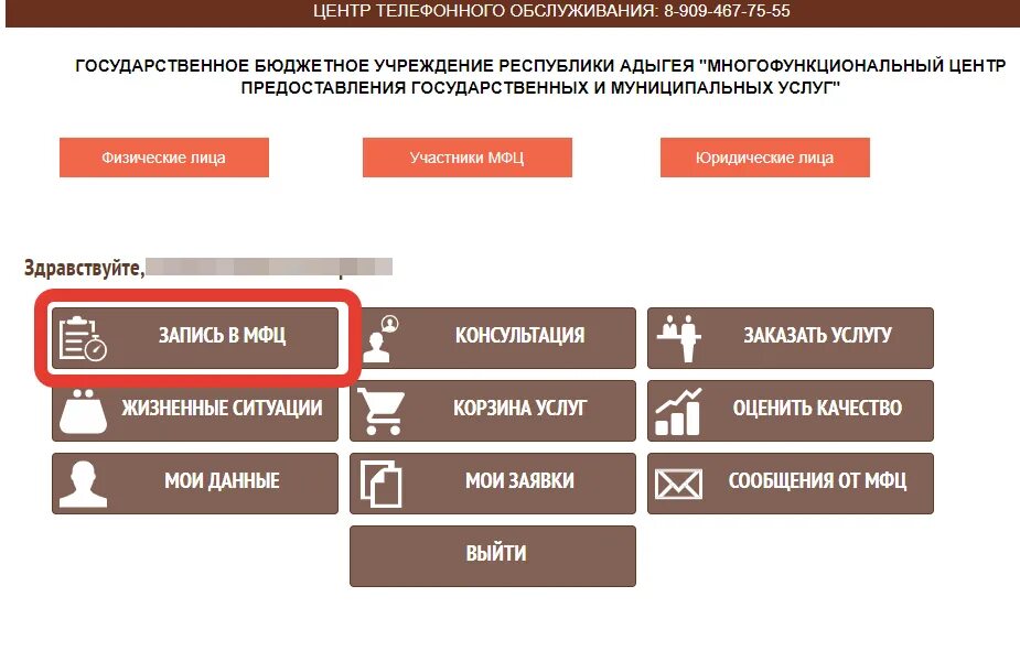 Записаться в мфц нижний тагил. Запись в МФЦ. Записаться в МФЦ. МФЦ прием по предварительной записи. Как записаться в МФЦ через интернет.