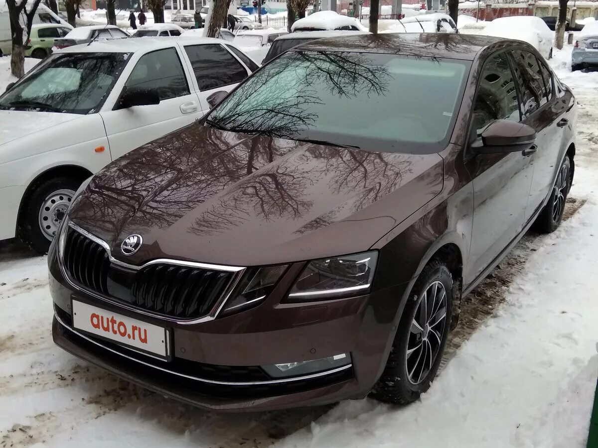 Skoda Octavia 2018. Skoda Octavia 2018 коричневая. Купить октавию 2018