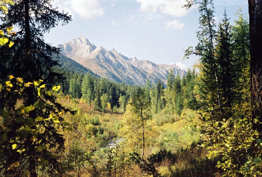 Горы саяны западные. Горы юга сибири алтай. Южно-сибирские горы. Горы алтай и саяны. Горы в сибири название.