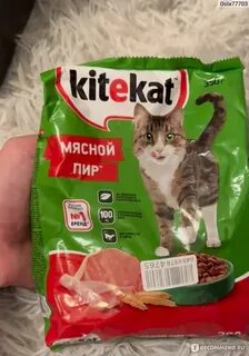 Обычный корм
