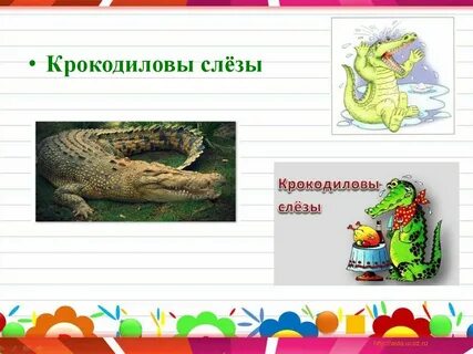 Фразеологизм крокодиловы слезы значение