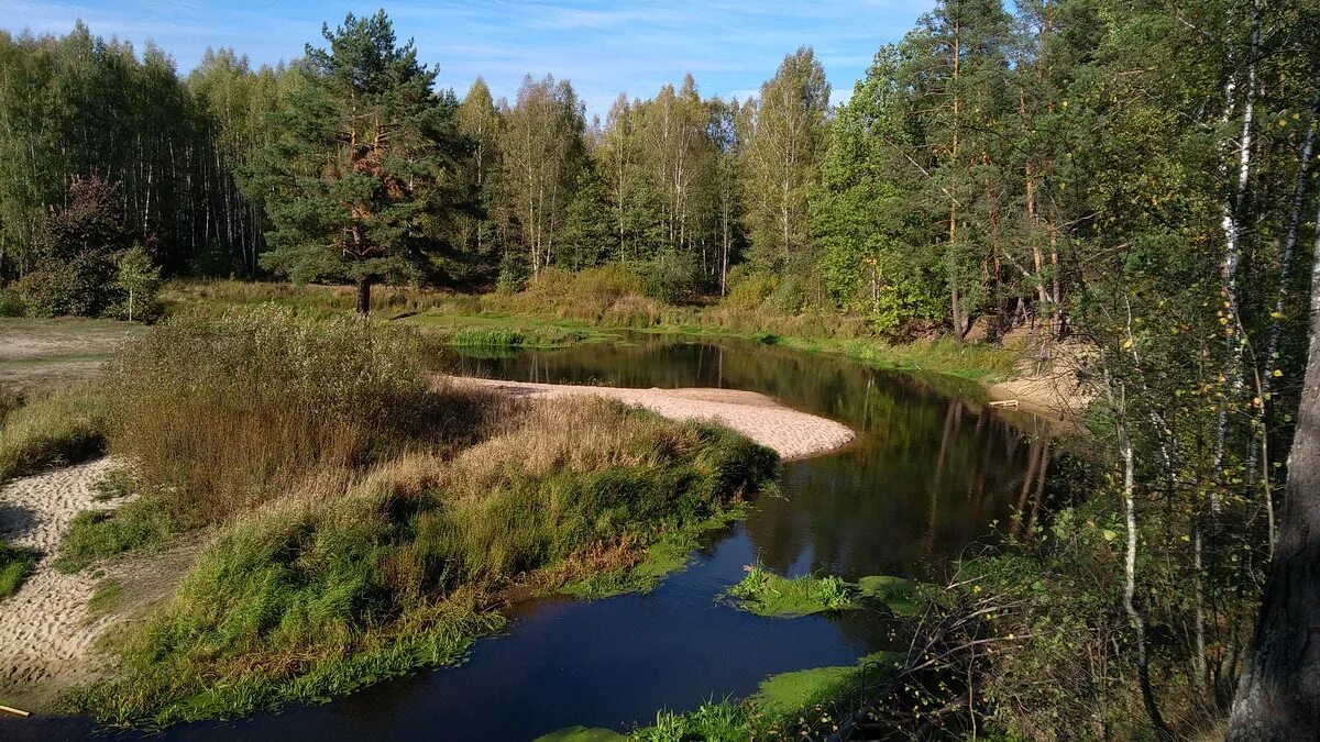 руза подмосковье. мытищи набережная реки яуза. коломенский кремль вид с реки коломенки. река серебрянка московская область. река руза.