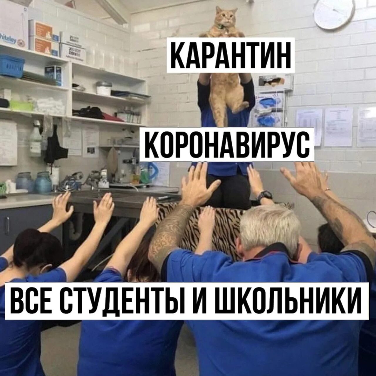 Как справиться без парня на карантине