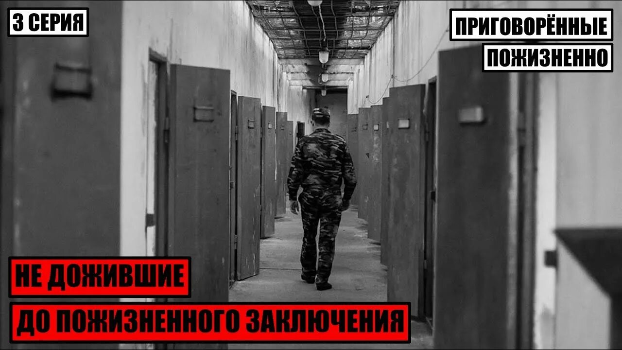 не дожившие до пожизненного заключения. солоник жив доказательства. приговорённые пожизненно не дожившие. приговорённые пожизненно не дожившие до пожизненного заключения 3. узбек старший.