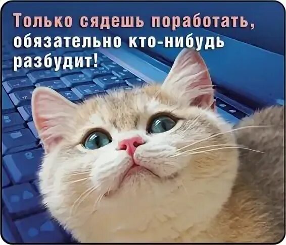 Иллюстратор лиза айсато. В женщине должна быть загадка. Будили нибудь. Будили нибудь. Будили нибудь.
