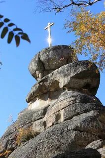 Церковка белокуриха