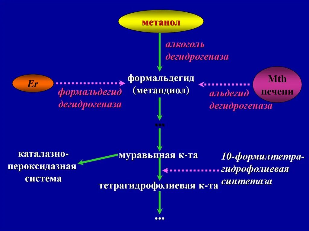 Метанол дегидрогеназа. Фос токсикология. Альдегид дегидрогеназа. Алкоголь дегидрогеназа. Задачи метанол