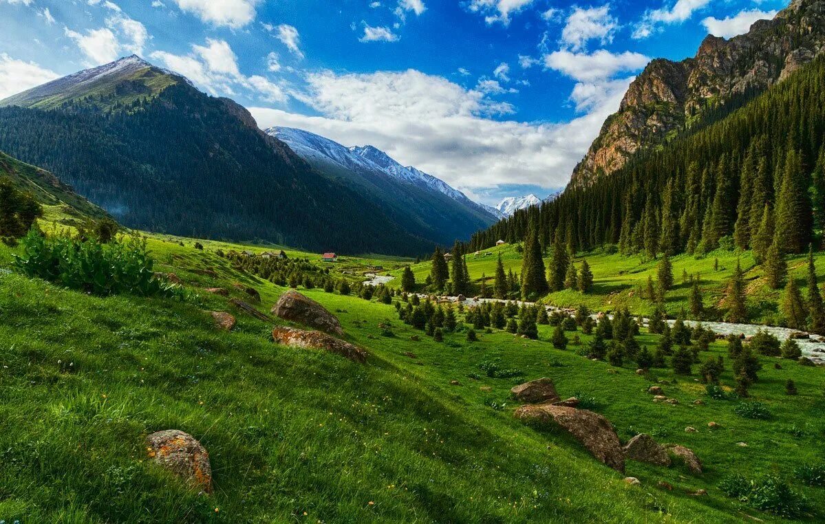 Природа Кыргызстана Алтын Арашан. Киргизия ущелье Арашан. Ущелье Алтын Арашан. Арашан Киргизии горы.