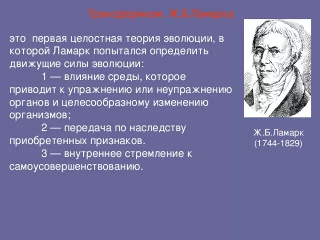 Первой эволюционной теорией является. Первое эволюционное учение Ламарка. Эволюционная теория Ламарка. Первая теория эволюции Ламарка. Эволюционное учение ж б Ламарка.