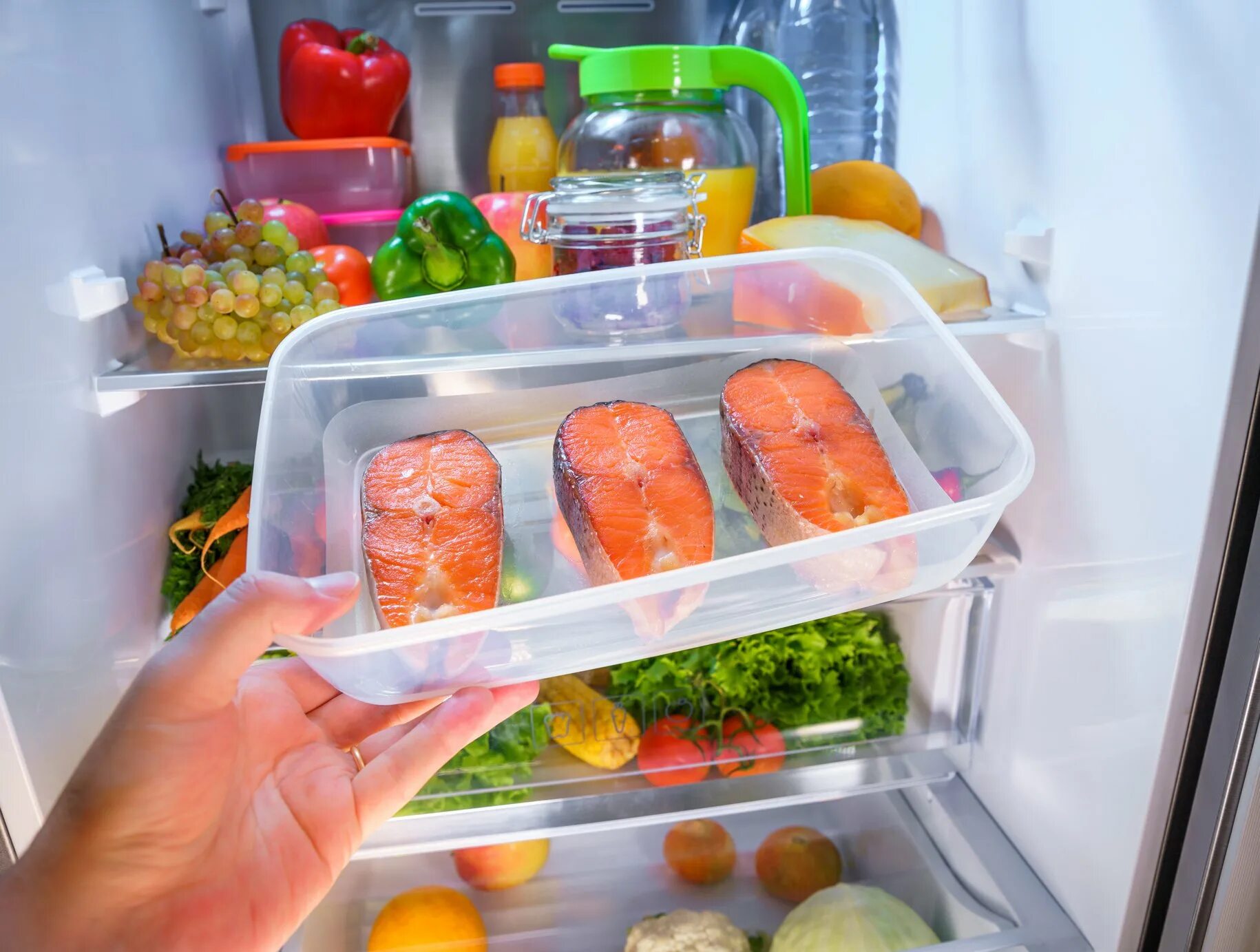 Можно хранить суши в холодильнике. Холодильник с продуктами. Хранение продуктов. Холодильник с едой. Хранение готовых блюд в холодильнике.