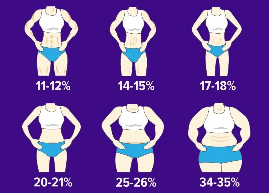 Норма жира в организме. Процент жира. Процент жира и мышц в организме. Процентное соотношение жира в теле.