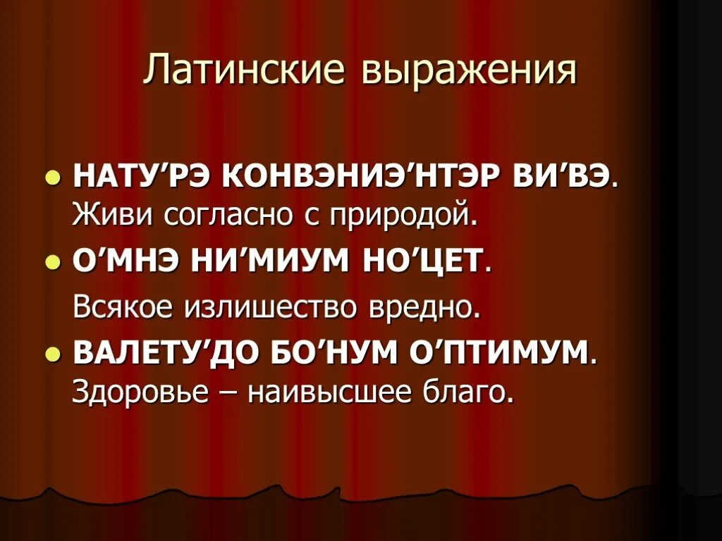 Крылатые фразы переводом. Латинские выражения. Латинские крылатые выражения. Крылатые фразы на латыни. Латинские поговорки.