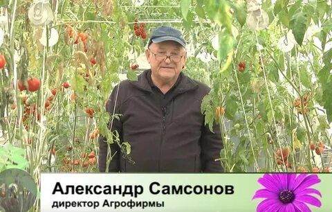 Дачные советы с галин