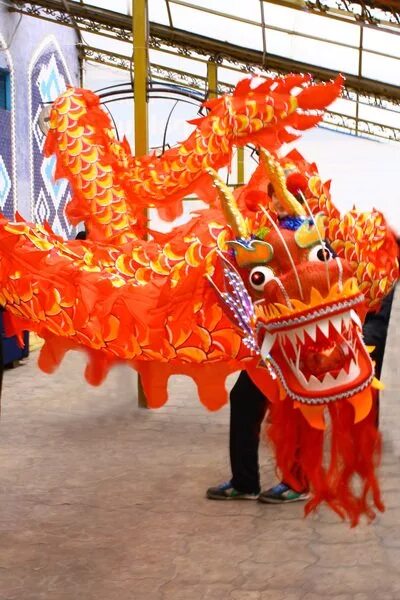 карнавальный дракон. китайский дракон фестиваль. китайский дракон кукла. карнавальный дракон. китайский дракон костюм.