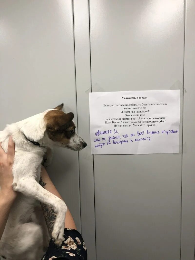 В частном доме лают собаки ночью