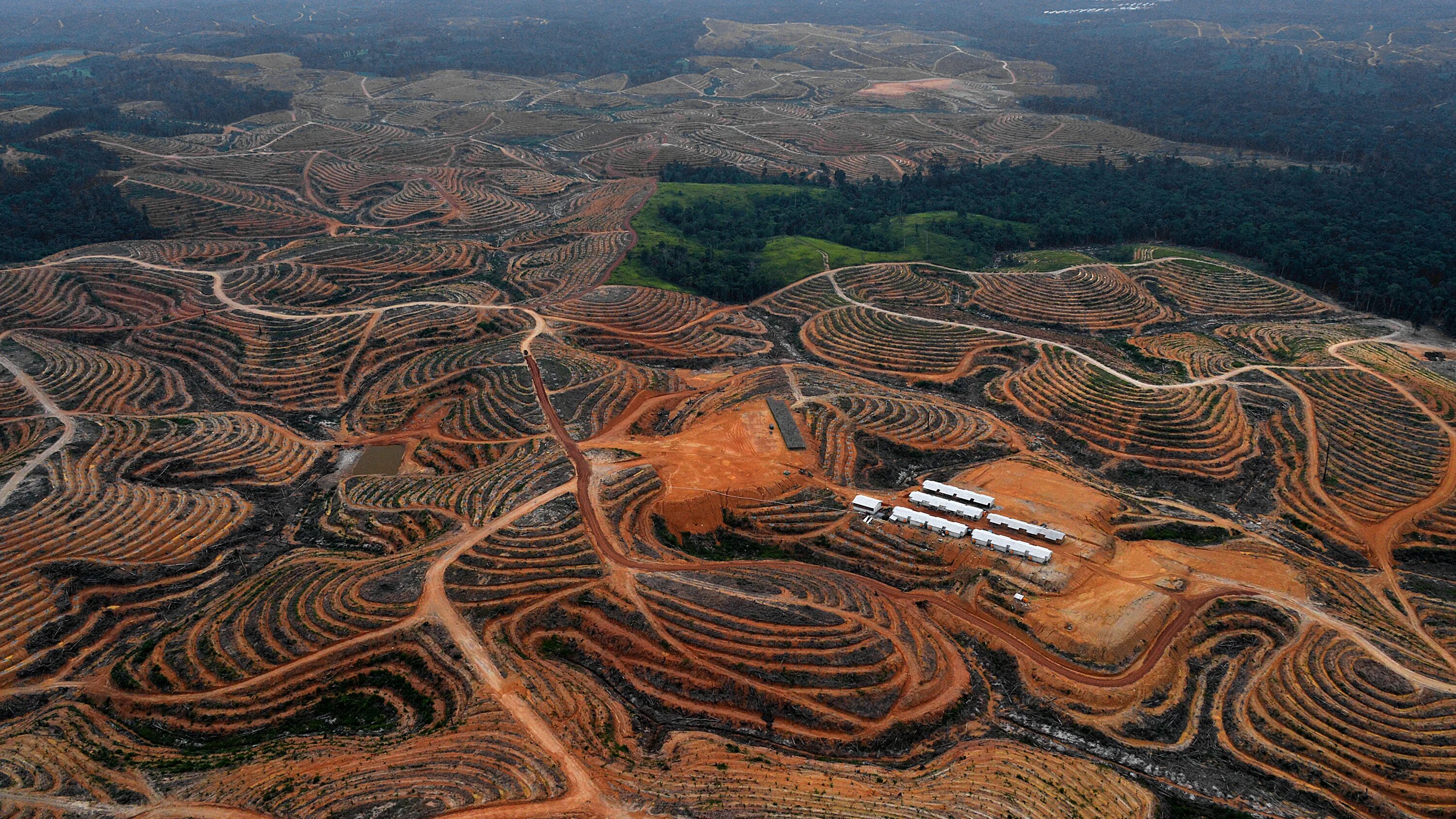 Обезлесение Перу. Долина Мехико обезлесение. Вырубка тропических лесов в Африке. Обезлесение в Африке.