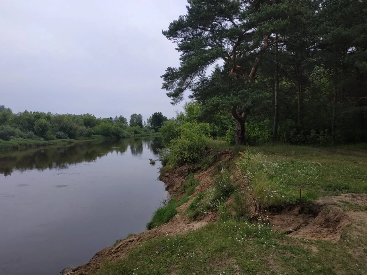 Прогноз клязьма. Река клязьма костерёво. берег реки клязьмы. река клязьма петушки. клязьма костерево.