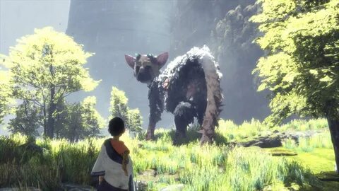 The next guardian