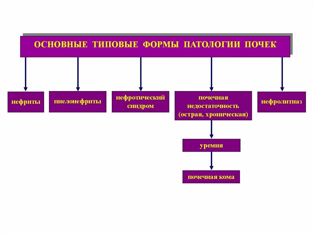 Какую патологию выделяют. Типовые формы патологии. Типичная форма патологии почек. Типовые формы патологии тканей.