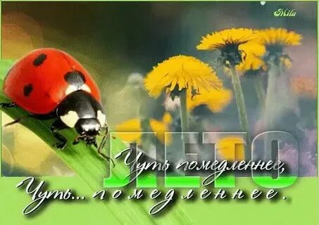 Ах медленнее