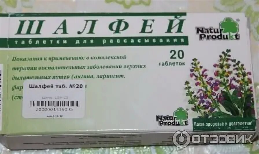 Шалфей с ментолом. Шалфей с ментолом