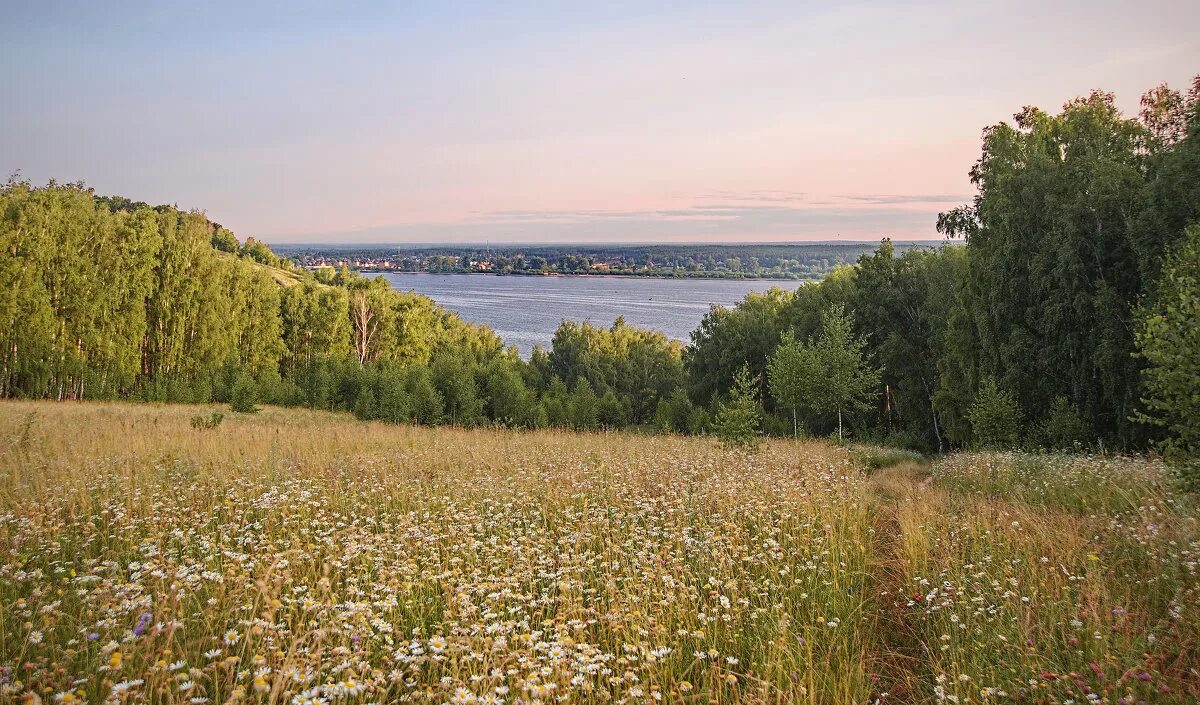 Родной край. Природа нашей родины. Родимый берег. Родные просторы пушгоры панорама. Швеция луга.