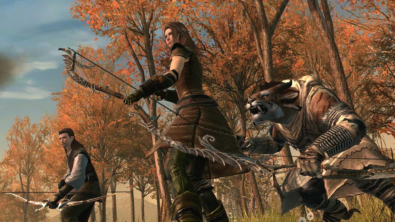 Скелет лучник. Elder scrolls лучник. Лучники мечники игра. Стол лучника. Лучники мечники игра.