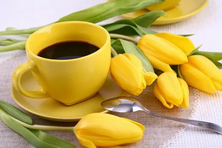 Доброе утро картинки красивые тюльпаны Pin on Весна на окошке Pink flowers wallpaper, Pink tulips, Flowers