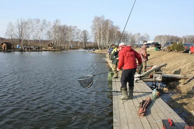 Барыбино рыбалка. Барыбино пруды. Барыбино Домодедово рыбалка. Барыбино платная рыбалка. Рыбалка Домодедовский район.