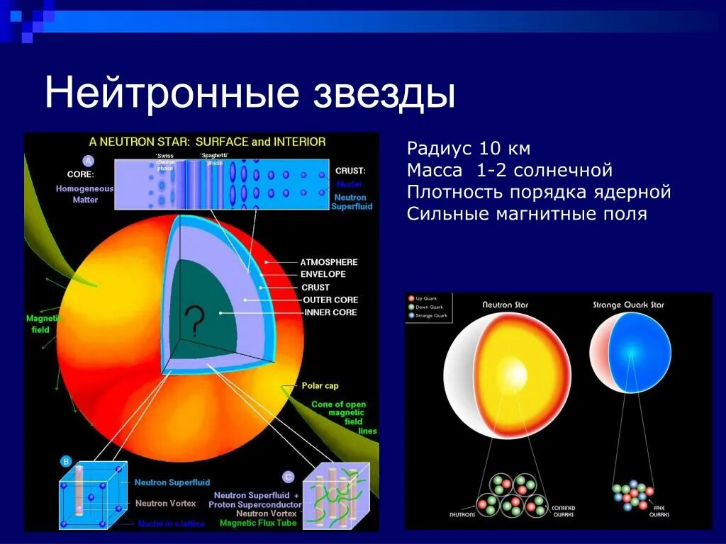 Нейтронные звезды сколько. Внутреннее строение нейтронной звезды. Строение нейтронной звезды схема. Нейтронная звезда. Нейтронная звезда Размеры.