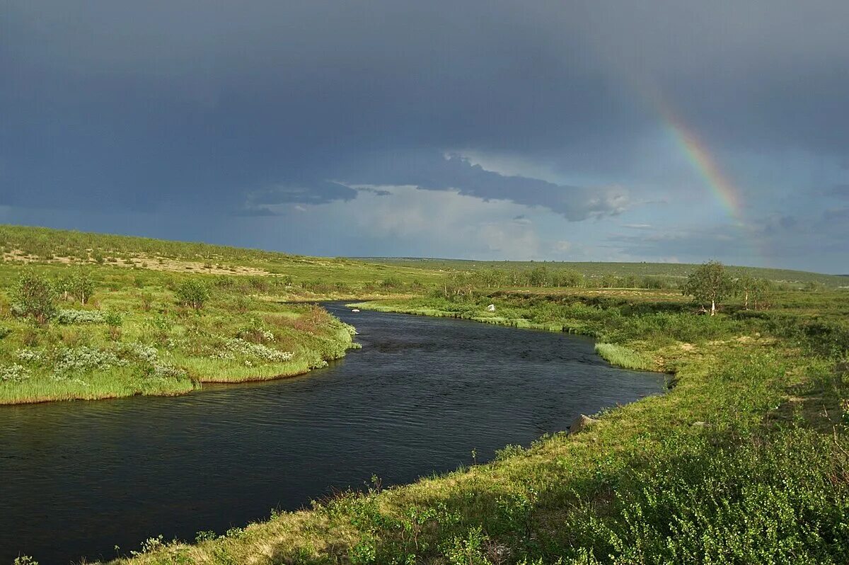 Водные богатства мурманской области. Река Лумбовка Мурманская. Йоканьга река в Мурманской области. Река иоканга Мурманской области. Река иоканга Исток.