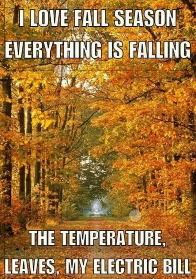 Falling everything. Autumn memes. Времена года Мем. Fall meme.