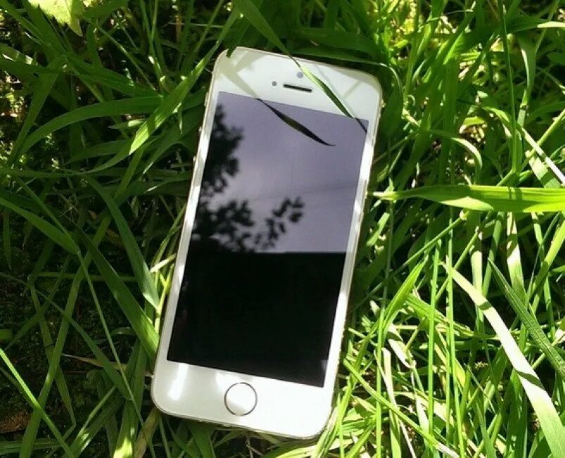 Айфон. Смартфон на траве. Iphone на траве. Смартфон лежит.