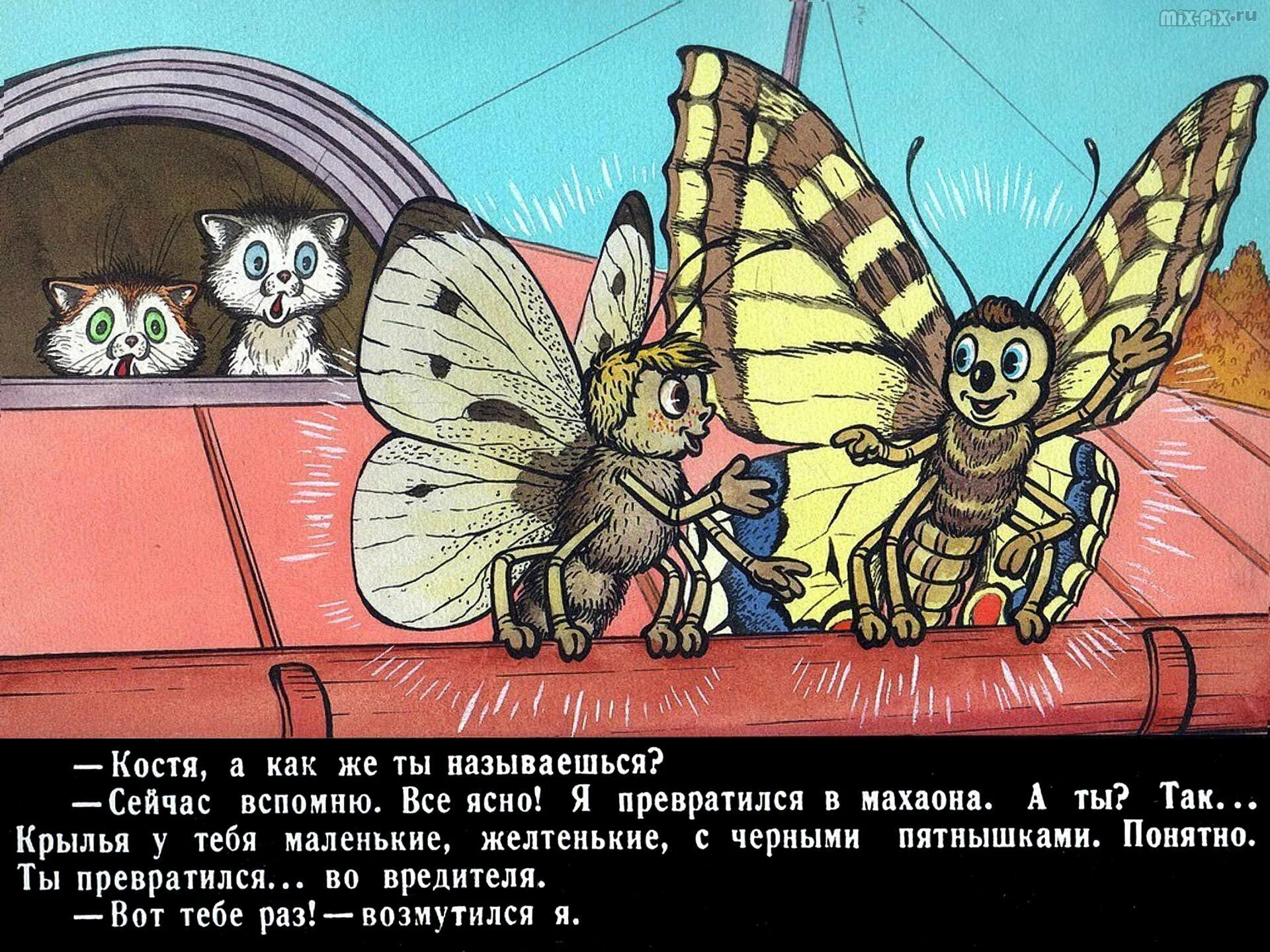 Медведев Баранкин будь человеком иллюстрации. Иллюстрации из книги Баранкин будь человеком. Медведев Баранкин будь. Иллюстрации из "Баранкин будь человеком"в.в. Медведева.