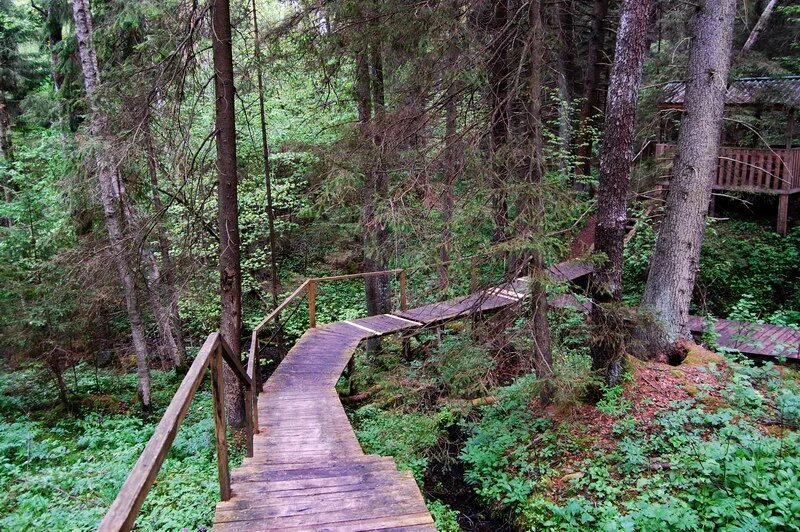 Кумано-кодо вакаяма. Священные тропы. Священные тропы. Кумано-кодо вакаяма. Тропа пилигримов япония.