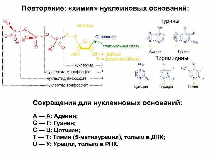 Химический элемент и простое вещество. О химическом элементе идет речь в предложении. Химия тесты для повторения и подготовки. Повторить химию. Химию повторяем.