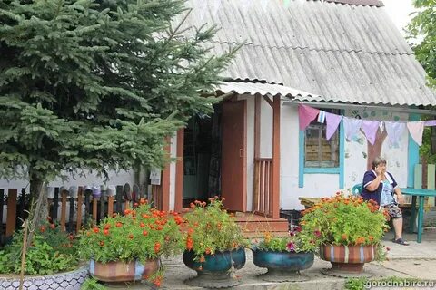 Поселок николаевна