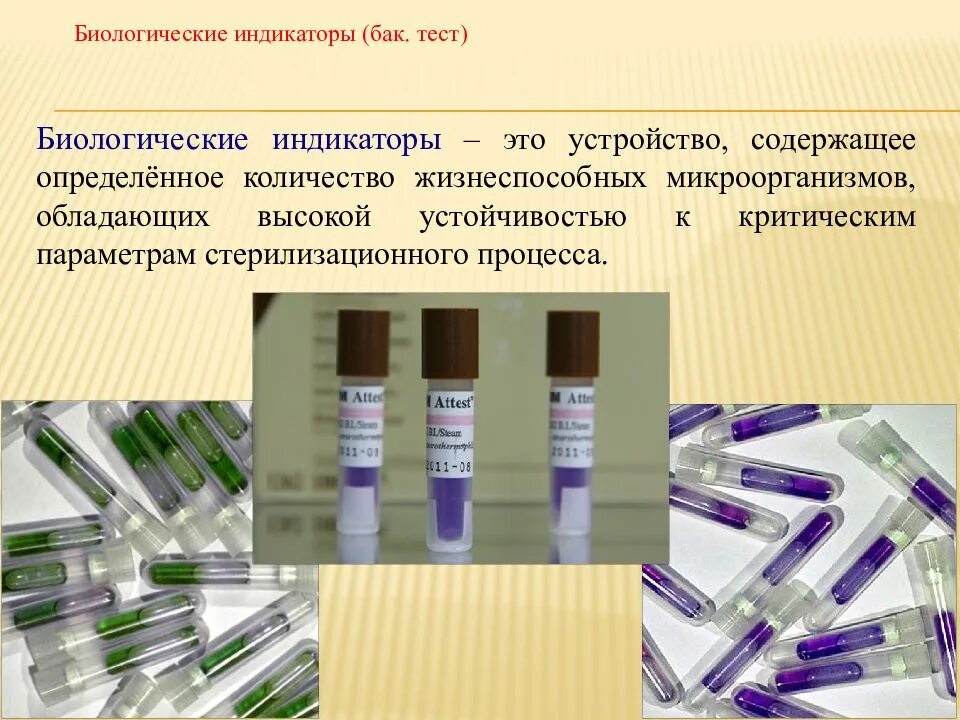 Изделия содержащие споры считаются