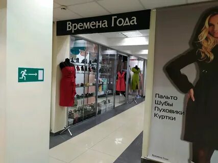 Магазинов гг