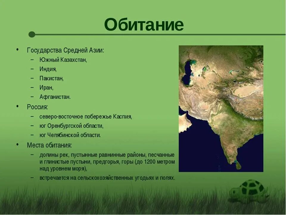 Азия презентация 3 класс. Сообщение про Азию. Сообщение на тему Азия. Доклад про Азию. Интересные факты о Азии.