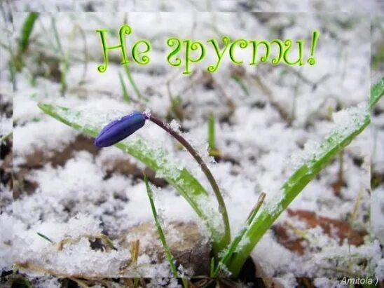 Скорее уж