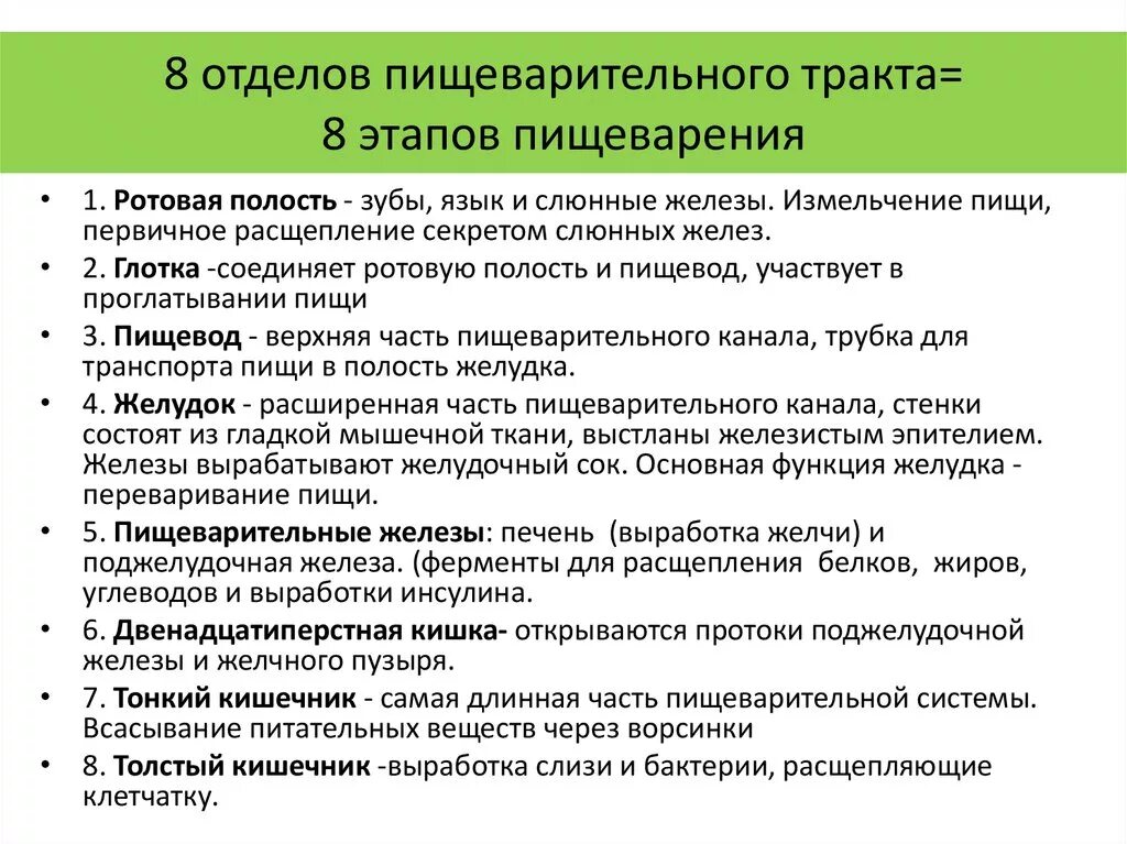 Отделы пищеварительного тракта. Пищеварение в разных отделах пищеварительного тракта. Основные этапы процесса пищеварения. Этапы пищеварения таблица. Пищеварительная система характеристика кратко