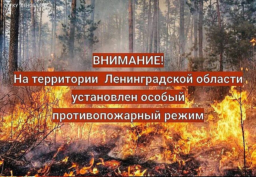 Особый противопожарный режим. Установление особого противопожарного режима. Противопожарный режим картинки. Особый противопожарный режим картинки.