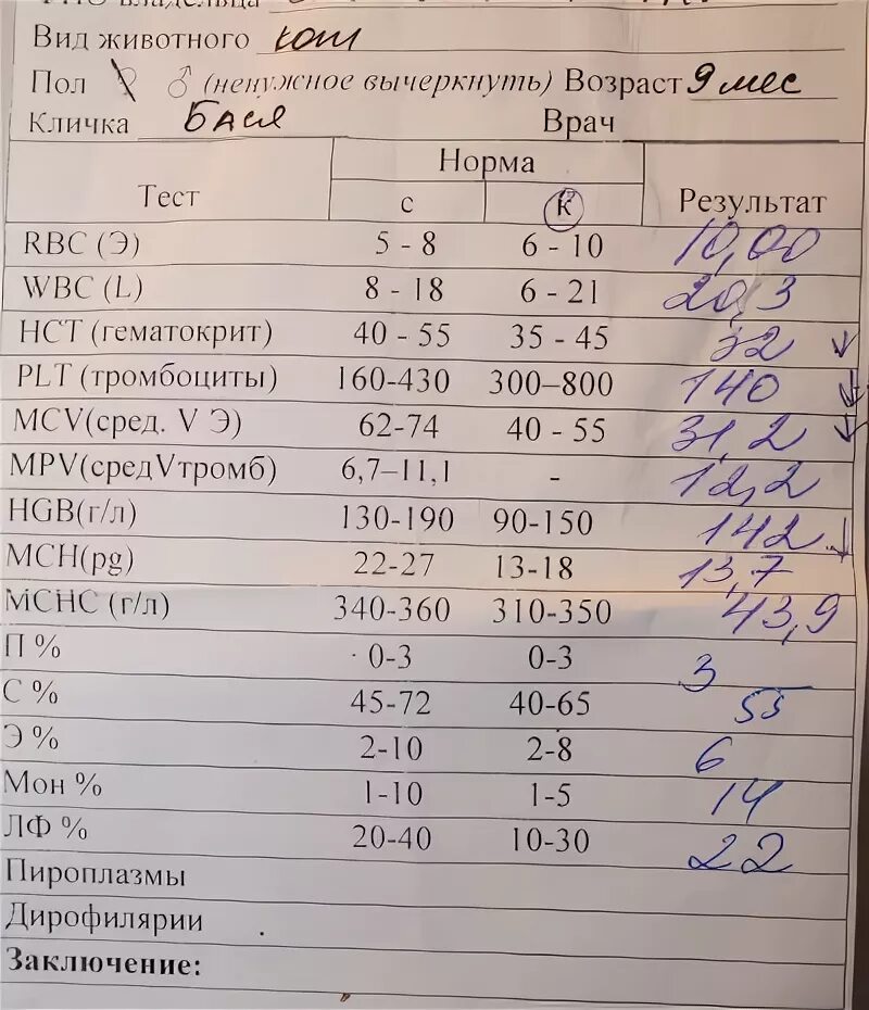 Анализ мочи при воспалении. Почечные показатели в моче. Общий анализ мочи почек. Анализ мочи при исследования почек.