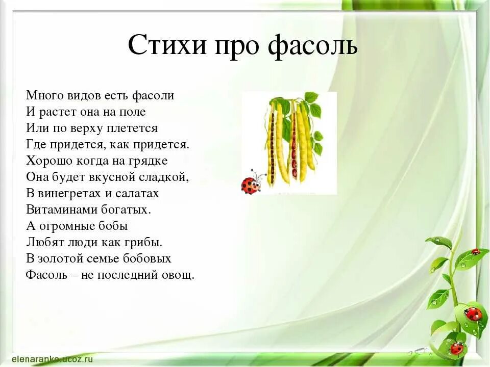 Текст про семена. Стихи про фасоль для детей. Загадка про фасоль. Стишок про фасоль для детей. Загадка про фасоль для малышей.