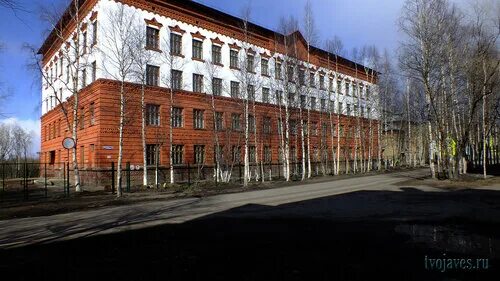 Сивая маска воркута. Инта, ул. Полярная 5 инта. Инте 5. Горького 23 инта.