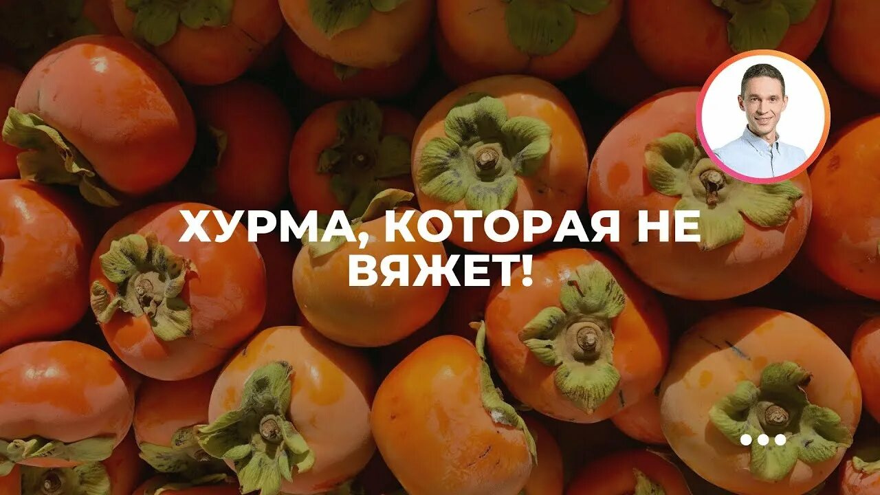 Что сделать чтобы хурма не вязала. Королек хурма разница. хурма которая не вяжет. хурма которая не вяжет королек.