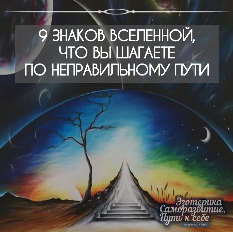 Как определить знаки вселенной. Добрые знаки вселенной. книга знаки вселенной. знаки вселенной на улице.
