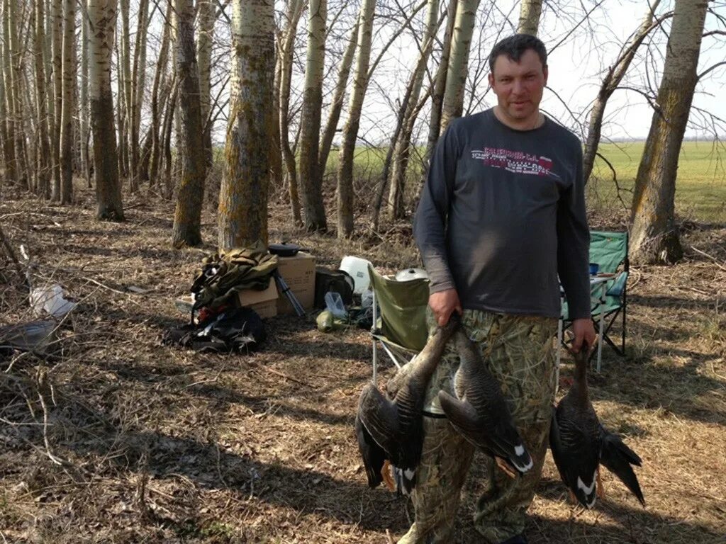 Сроки весенней охоты в тамбовской области. Талисман полевой охотхозяйство. Охотхозяйство талисман Тамбовская область. Гуси в Тамбовской области.