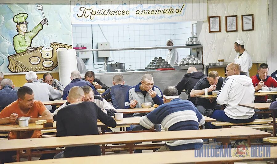 Лтп витебск. Лтп 4 витебск. лтп в витебске. лтп для алкоголиков. лечебно-трудовой профилакторий.